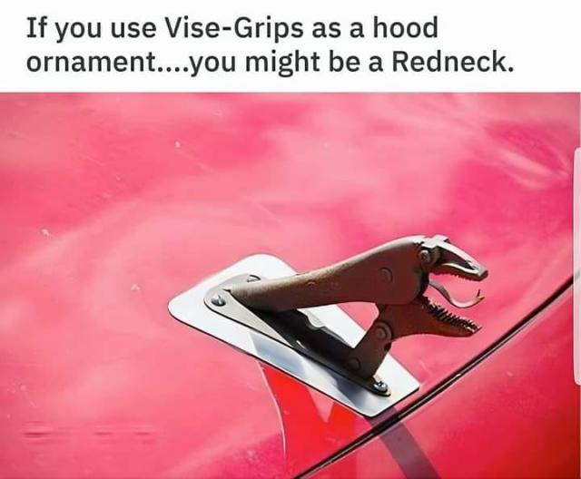 [Linked Image]