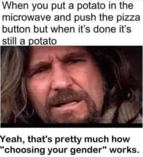 [Linked Image]