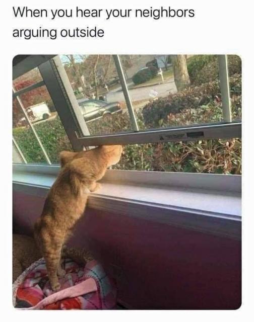 [Linked Image]
