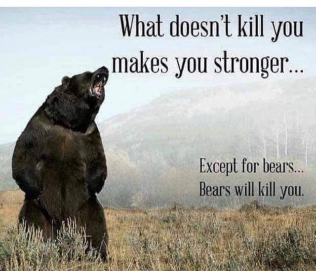 [Linked Image]