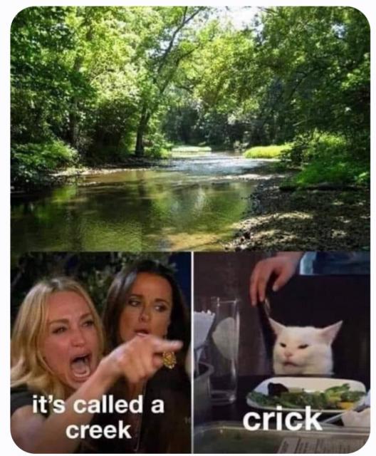 [Linked Image]