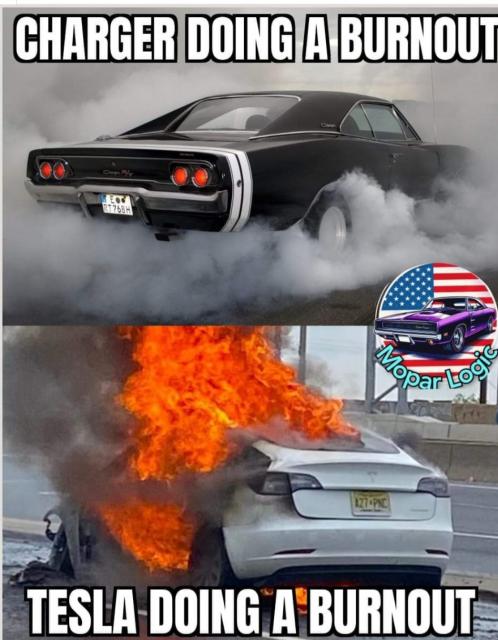 [Linked Image]