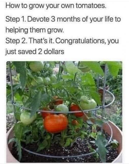 [Linked Image]