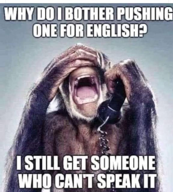[Linked Image]
