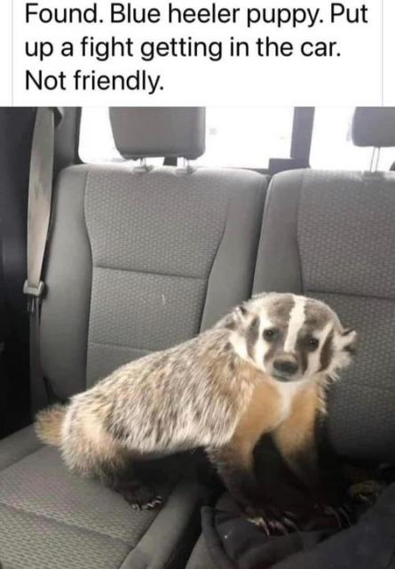 [Linked Image]