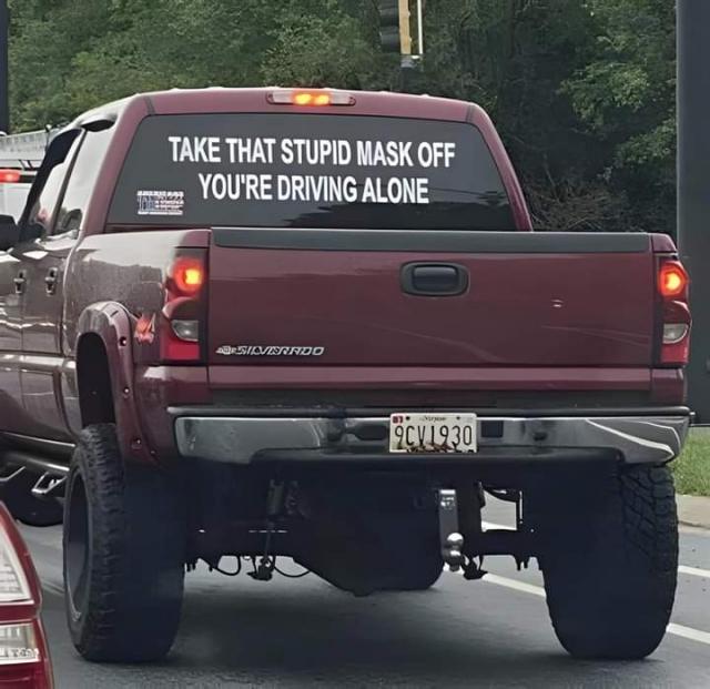 [Linked Image]