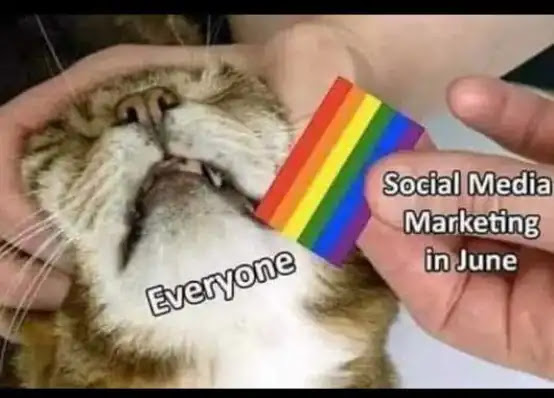 [Linked Image]