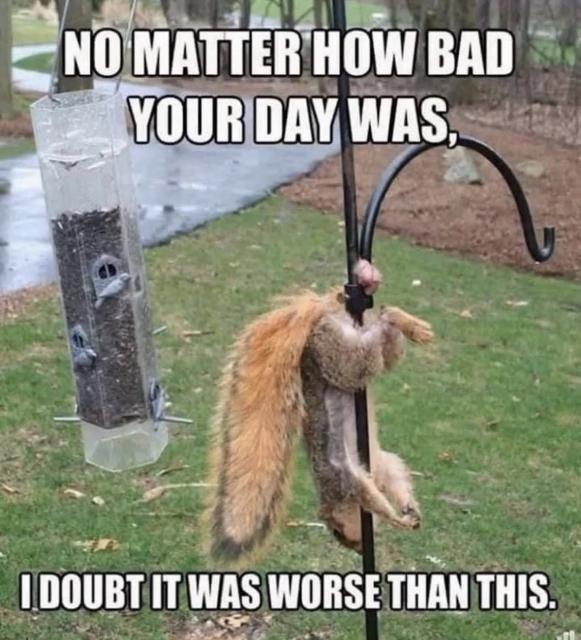 [Linked Image]