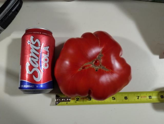 [Linked Image]
