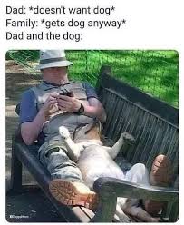 [Linked Image]