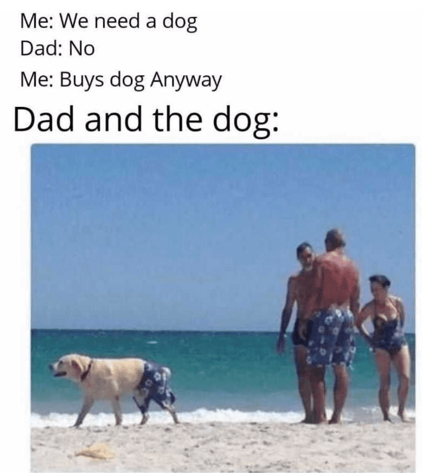[Linked Image]