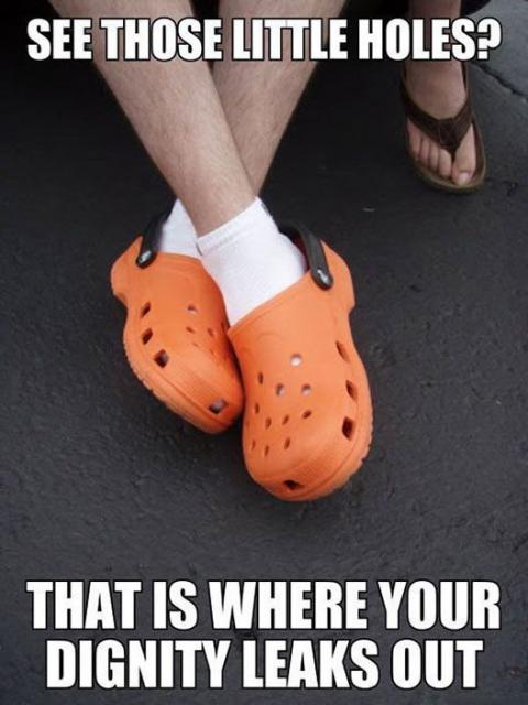 [Linked Image]