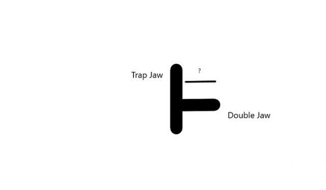 [Linked Image]