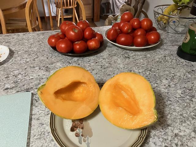 [Linked Image]