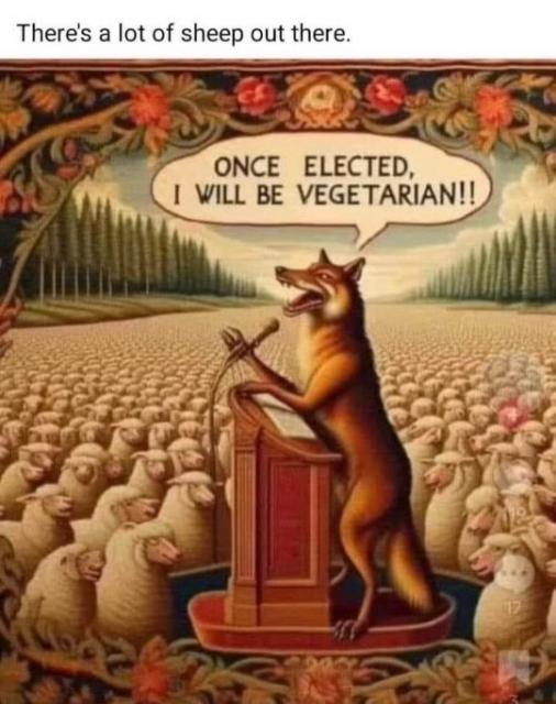 [Linked Image]