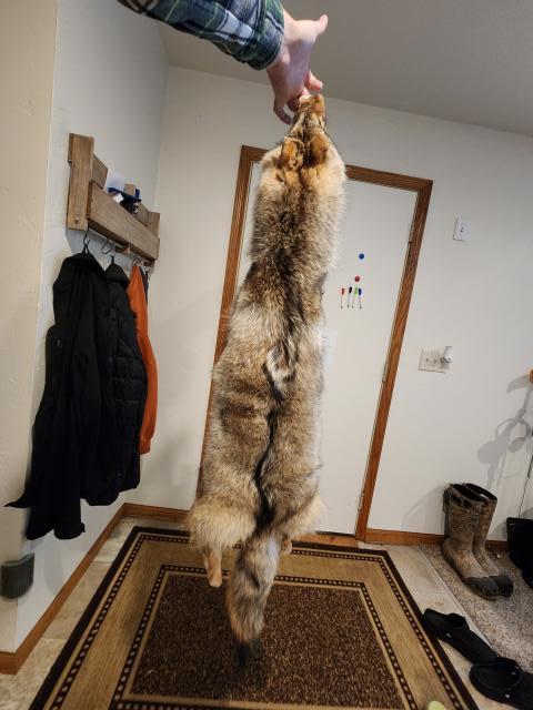 [Linked Image]