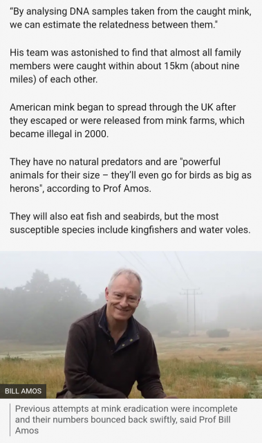 [Linked Image]