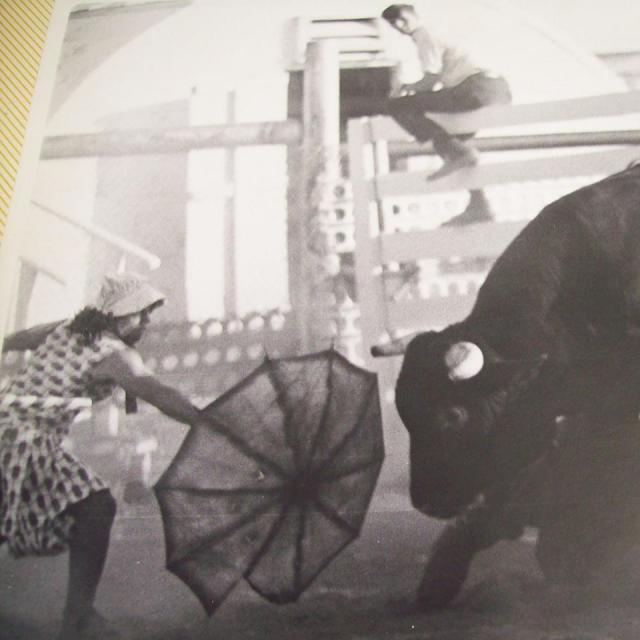 [Linked Image]