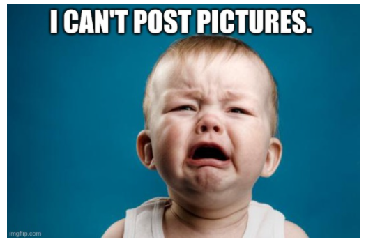 [Linked Image]