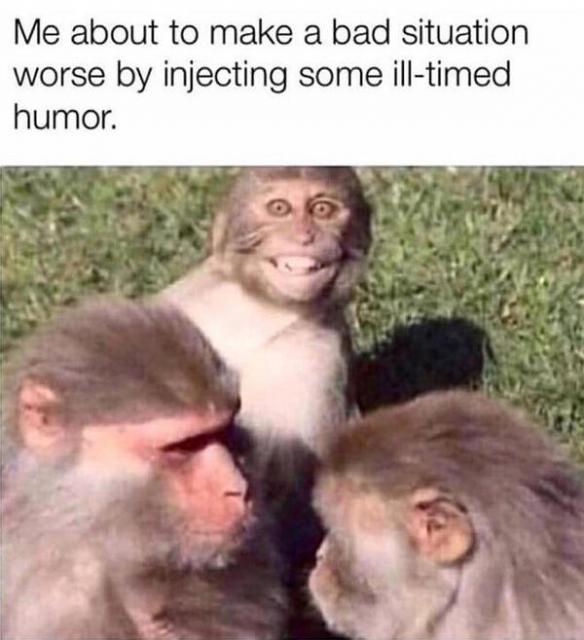 [Linked Image]
