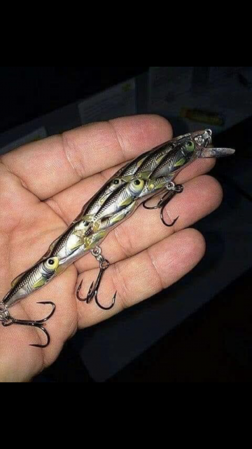[Linked Image]