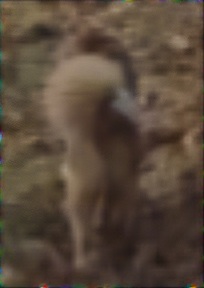 [Linked Image]