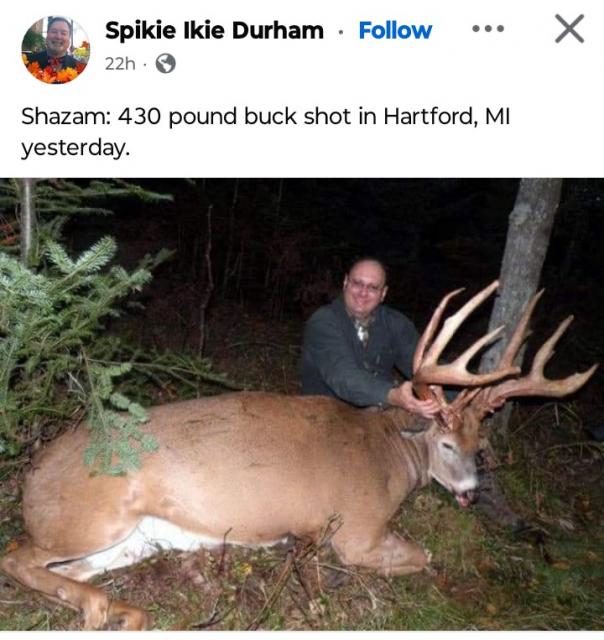[Linked Image]