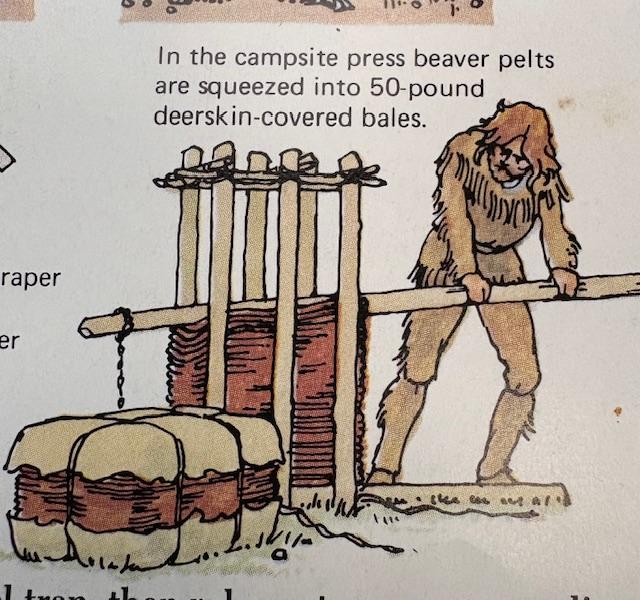 [Linked Image]
