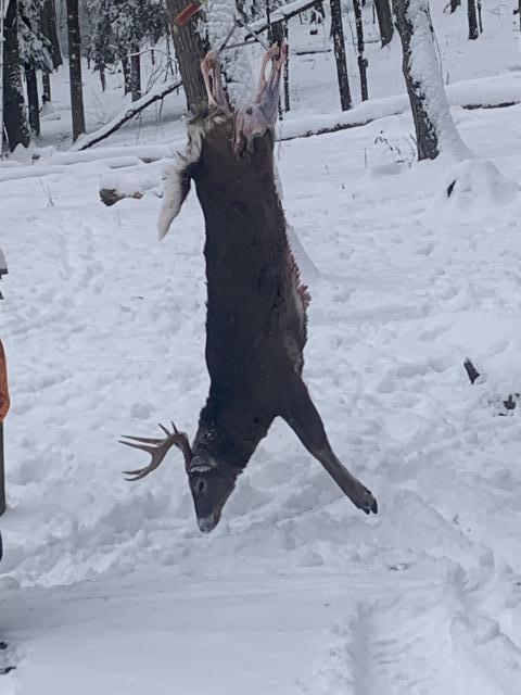 [Linked Image]