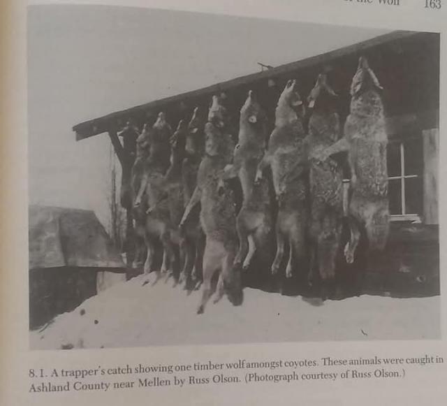 [Linked Image]