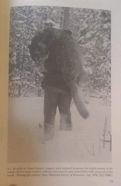[Linked Image]