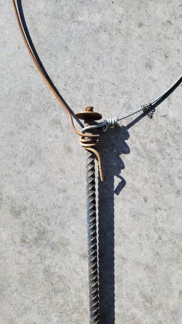 [Linked Image]