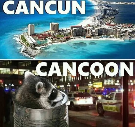 [Linked Image]
