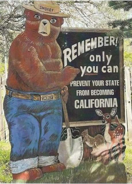 [Linked Image]