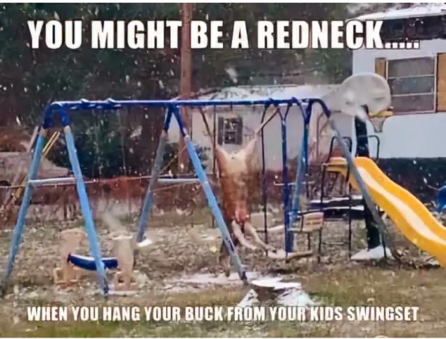 [Linked Image]