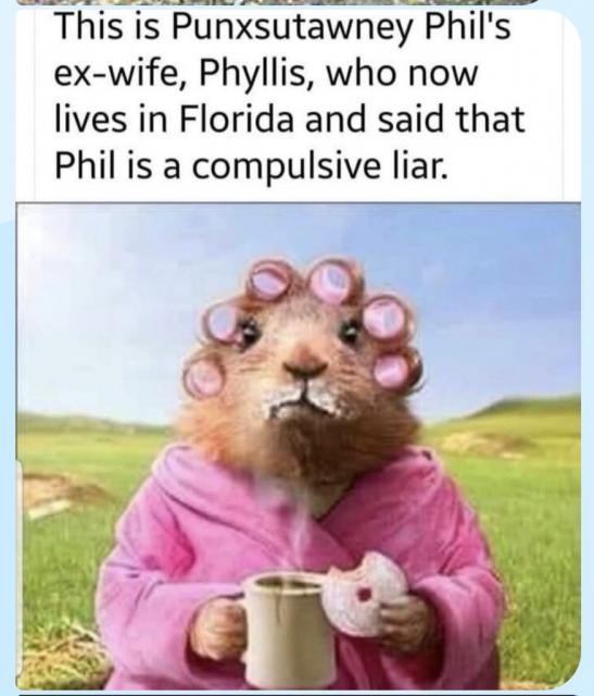 [Linked Image]