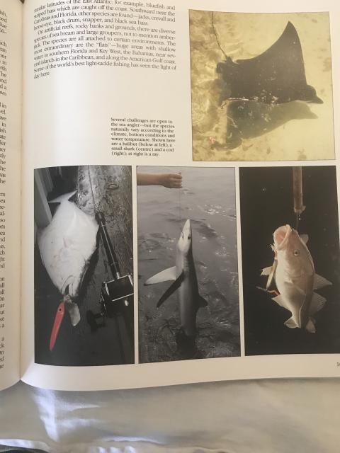 [Linked Image]