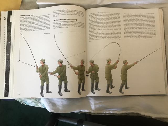 [Linked Image]