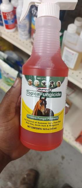 [Linked Image]
