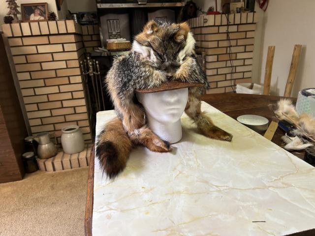 [Linked Image]