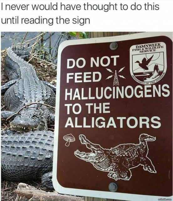 [Linked Image]