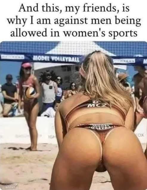 [Linked Image]