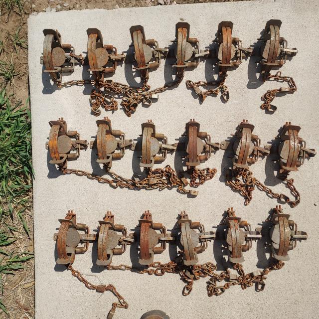 [Linked Image]