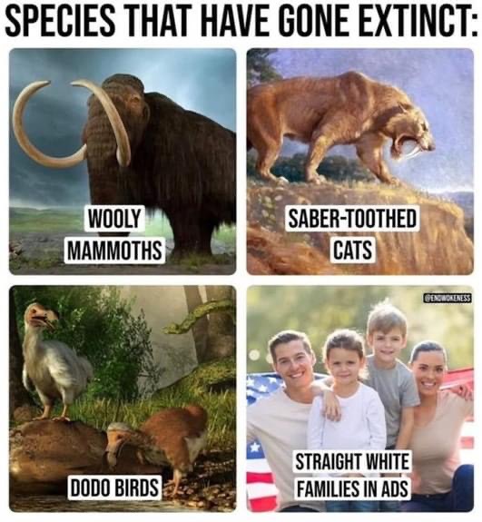 [Linked Image]