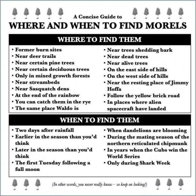 [Linked Image]