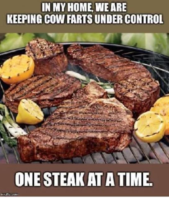 [Linked Image]