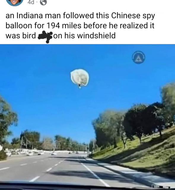 [Linked Image]
