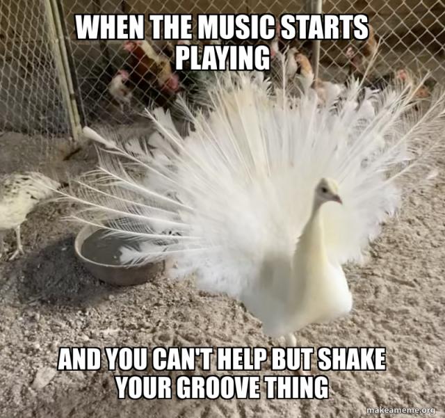 [Linked Image]