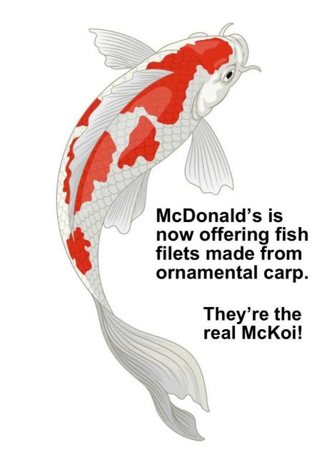 [Linked Image]