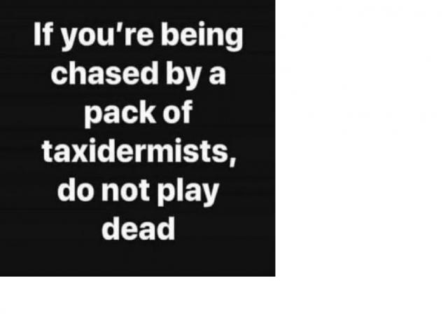[Linked Image]
